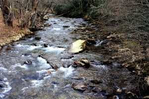 mountain stream2